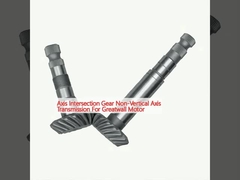 एक्सिस इंटरसेक्शन गियर ग्रेटवॉल मोटर के लिए नॉन-वर्टिकल एक्सिस ट्रांसमिशन
